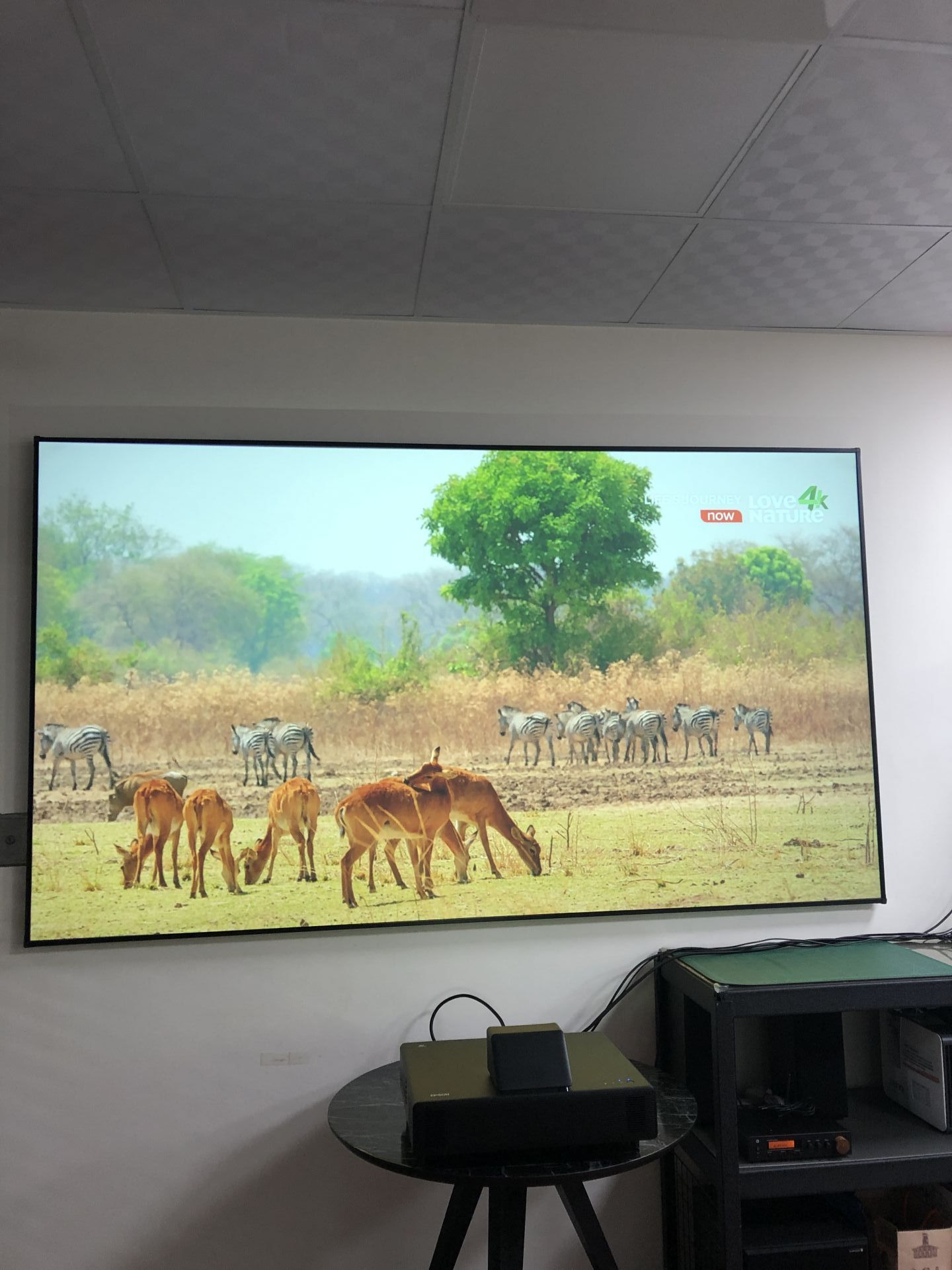 20210315 GRANDVIEW ALR黑柵 4K超短焦抗光幕 100吋 展示